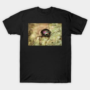 Unique and organic photo of a beautiful iridescent leaf beetle T-Shirt